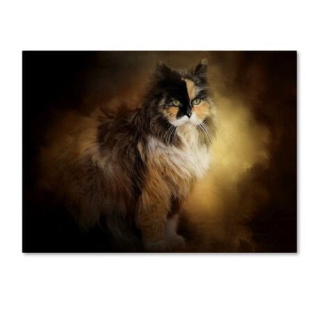 Trademark Fine Art Jai Johnson 'Sitting In Autumn' Canvas Art, 35x47 ALI14672-C3547GG
